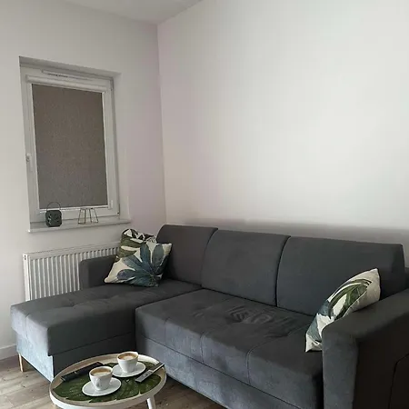 Leaf Prywatne Miejsce Parkingowe Apartament Łódź