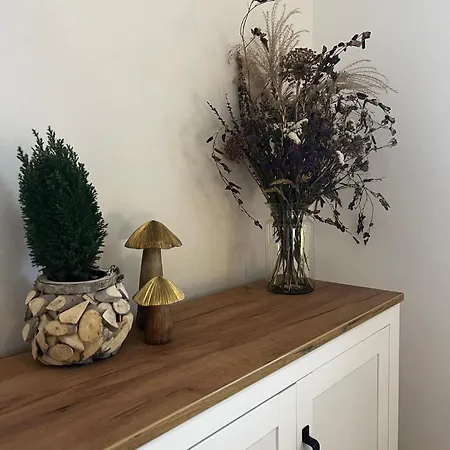 Leaf Prywatne Miejsce Parkingowe Appartement Łódź