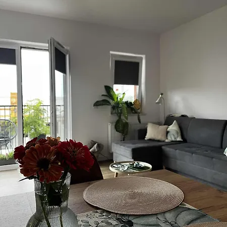 Leaf Prywatne Miejsce Parkingowe * Łódź