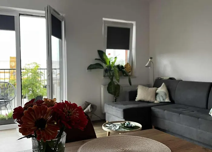 Leaf Prywatne Miejsce Parkingowe * Лодзь